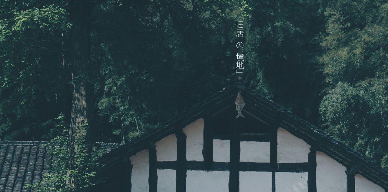 vivo荣耀争当“国产第一”，却只有苹果是真正的大赢家
